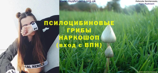 твердый Алзамай