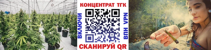 маркетплейс как зайти  Гвардейск  ТГК вейп с тгк 