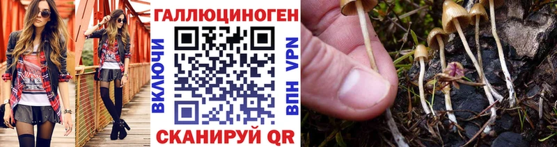 Галлюциногенные грибы MAGIC MUSHROOMS Гвардейск
